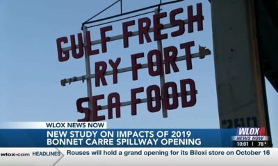 Study shows more than $20 million lost from 2019 Bonnet Carre Spillway opening