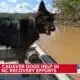 Nash deputy and cadaver dog perform grim, yet necessary job in finding bodies along Lake James