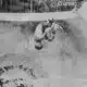 Oververt Challenge Held Sunday | October 6, 2024 | News 19 at 10 p.m. - Weekend
