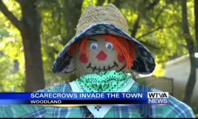 More than 85 scarecrows rise up in Woodland