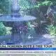 2024 Fondren Bottle Tree & Garden tour