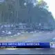 Truck carrying honeybees rolls over in Holmes County