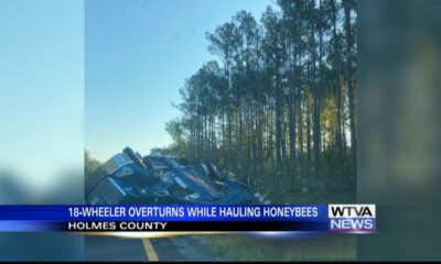 Truck carrying honey bees rolls over in Holmes County