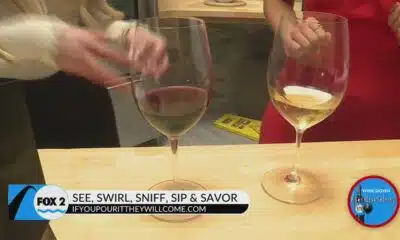 How to taste wine like a professional using the five "s"