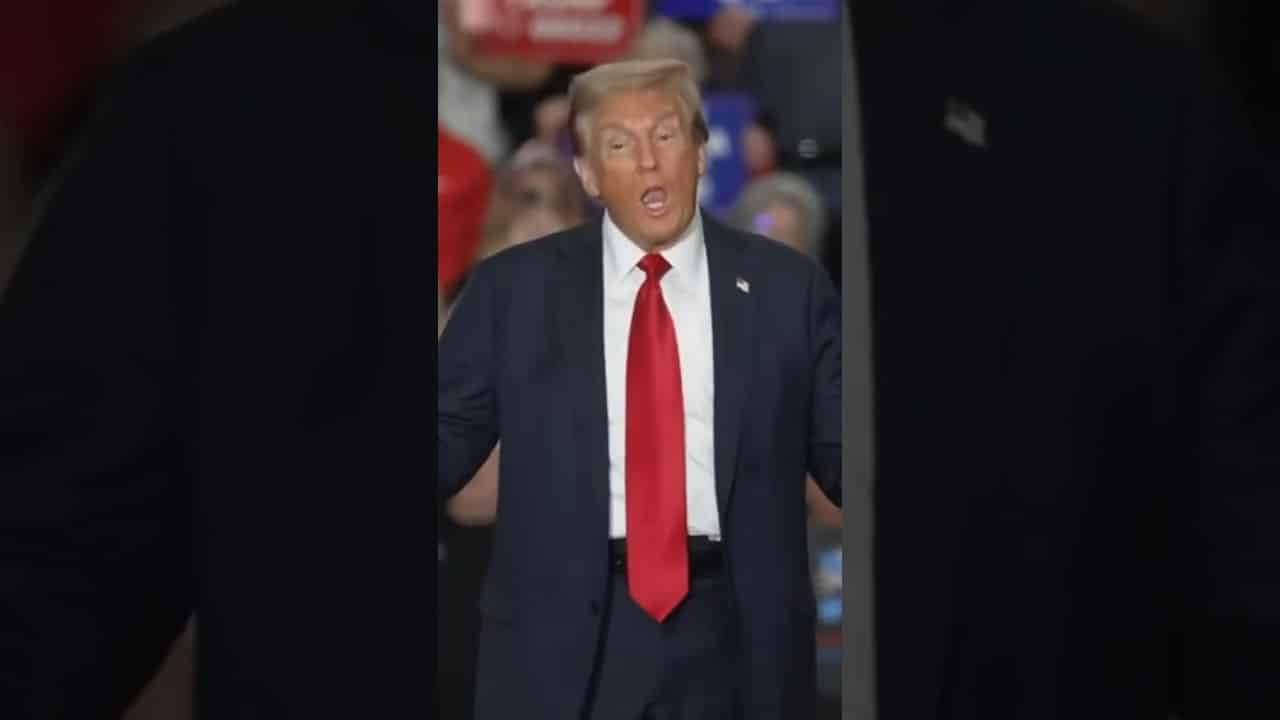 Trump and Harris talk Hurricane Milton & FEMA