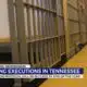 Tennessee could resume executions by end of year