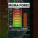 Northern Lights may be visible in the St. Louis area on Thursday