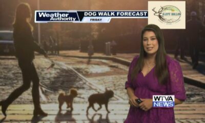 Dog Walk Forecast for Oct. 11 - Penny Lane