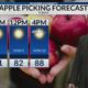 Sunday Morning Weather - 10/13/24