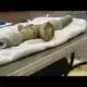 City of Houston to notify nearly 430,000 customers of lead pipe identification efforts