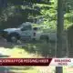 Woman missing in Pickens County after going on hike with dogs, family says