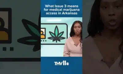 What Issue 3 means for medical marijuana access in Arkansas