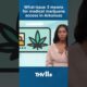 What Issue 3 means for medical marijuana access in Arkansas