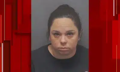 Babysitter arrested in dog attack that killed 1-year-old to have civil hearing Thursday