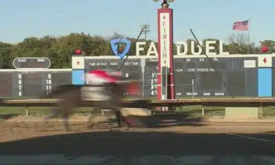 FanDuel Sportsbook race track adds more Thursday horse races