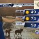 Dog Walk Forecast for Oct. 18 - Stark