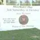 Preview: Wechsler Project Awareness Day