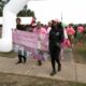 "Let's Think Pink" walk raises support in fight against breast cancer