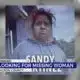 Lebanon police searching for missing woman