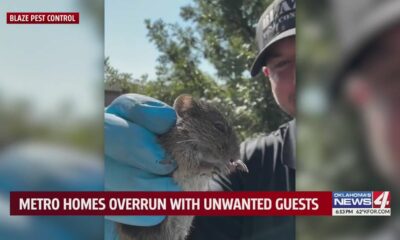 Metro homes overrun with unwanted guests