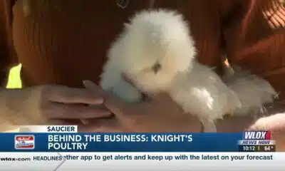 Behind the Business: Knight Poultry