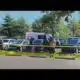 Woman shot, killed by ex-boyfriend during cancer awareness walk in Memphis, authorities say