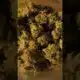 Votes for Arkansas medical marijuana expansion won’t count
