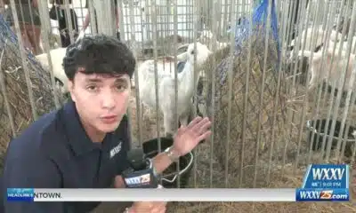 Jackson County Blue Ribbon Fair Preview