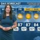 Today's Weather - Tori Alvarado - October 22nd, 2024
