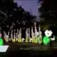 Oklahoma City Zoo bringing back Safari Lights sensory-friendly night