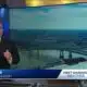 Foggy mornings start Wednesday, warmer afternoons