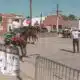 Annual Stockyard Stampede