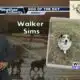 Dog Walk Forecast for Oct. 28 - Walker Sims