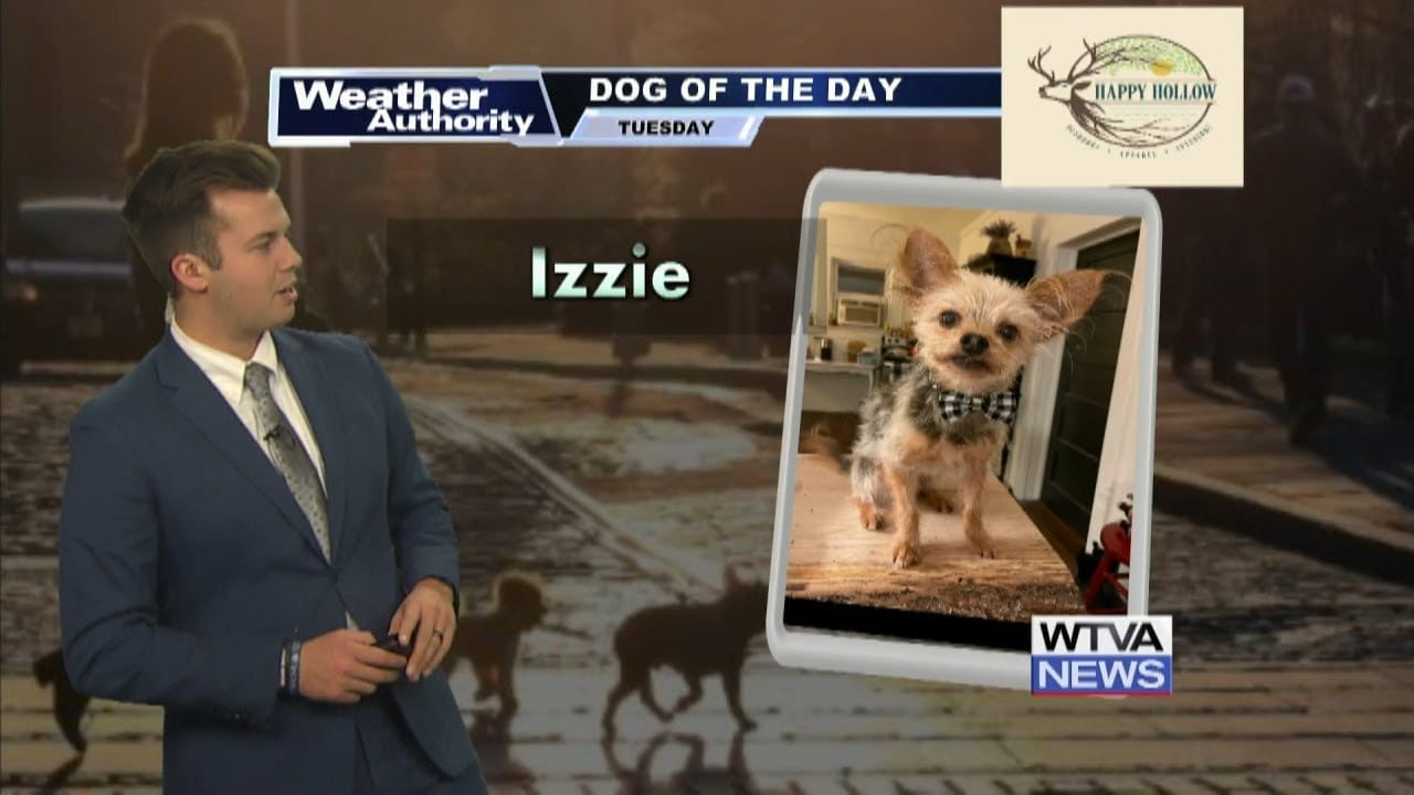 Dog Walk Forecast for Oct. 29 - Izzie