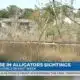 Moss Point residents speak on alligator sightings