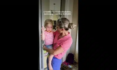A Toddler Survived a Snakebite. Antivenom Cost Over $200,000.