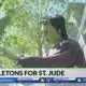 Lexington couple's Halloween decorations benefit St. Jude