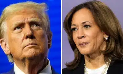 VP Kamala Harris, former President Donald Trump await 2024 Election results