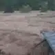 Left in the dark by their insurance company, a business destroyed in Hurricane Helene is looking ...