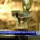 Outdoor Adventures With Chelsea: Itawamba County family makes molasses