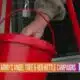 Salvation Army kicks off 2024 holiday campaigns