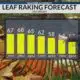 Saturday Morning Weather - 11/16/24