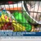 Mississippi SNAP benefit fraud throws wrench in Thanksgiving plans