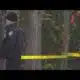Suspect wanted for rape fatally shot by deputies in Canton: Authorities