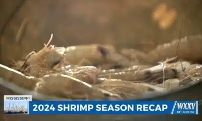 The state of shrimp season on the coast