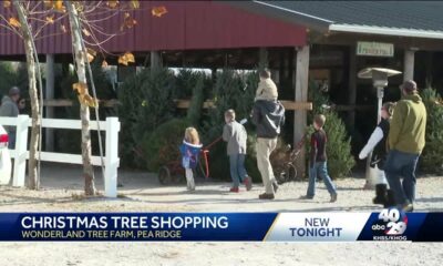 Families flock to Pea Ridge tree farm to kick off the holidays