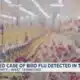 Suspected case of bird flu detected in TN