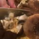 Why are Mushrooms becoming more popular?