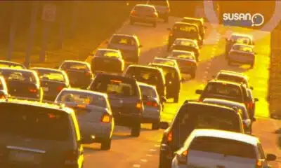 Susan Solves It Quick Tips: Car Carcinogens