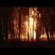 Massive fire from gas line explosion blamed on lighting strike